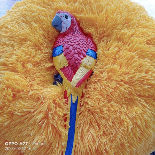 Imagen de Guacamaya decorativa